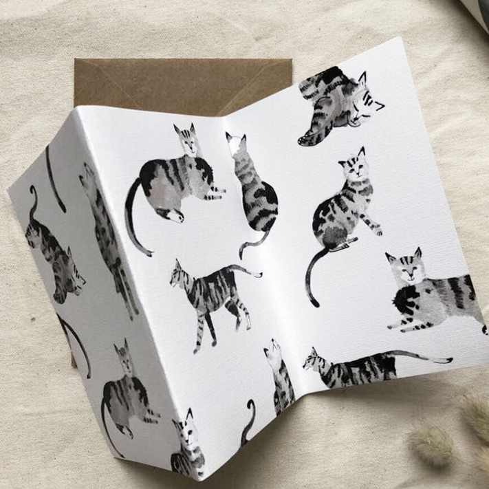 Concertina With Tabby Cats - Dear Prudence