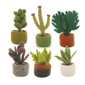 Felt Decorations - Miniature Plants - Blossoming Cactus