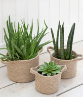 Jute Basket, With Lining & Handles