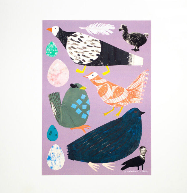 Birds Print - Jo Waterhouse
