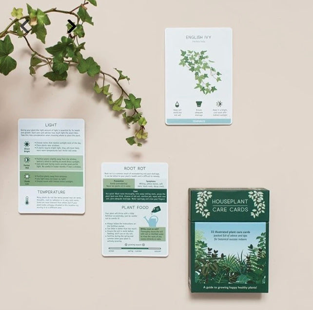 Houseplant Care Cards