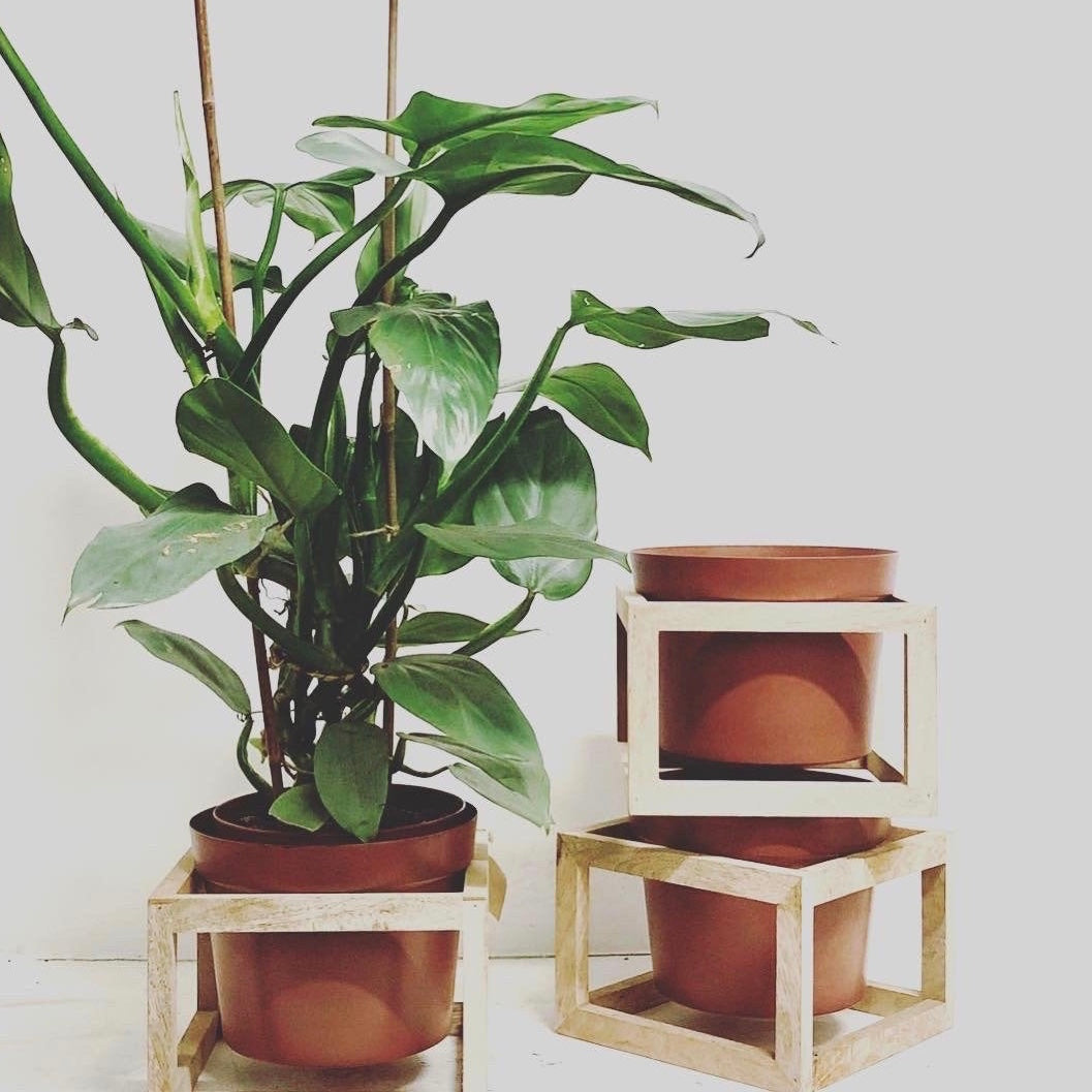 Square Wooden Plant Stand / Terracotta Pot