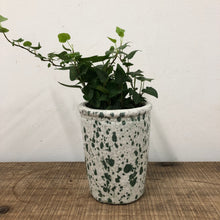 Load image into Gallery viewer, Tall ceramic pot - Green Splash
