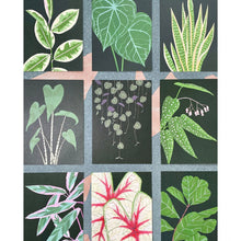 Load image into Gallery viewer, Stengun Drawings - Houseplants (set of 9)
